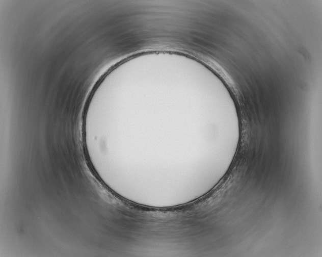 X0000111500996200908111242