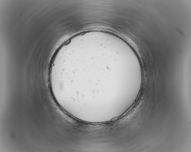 X0000111500997200908111242