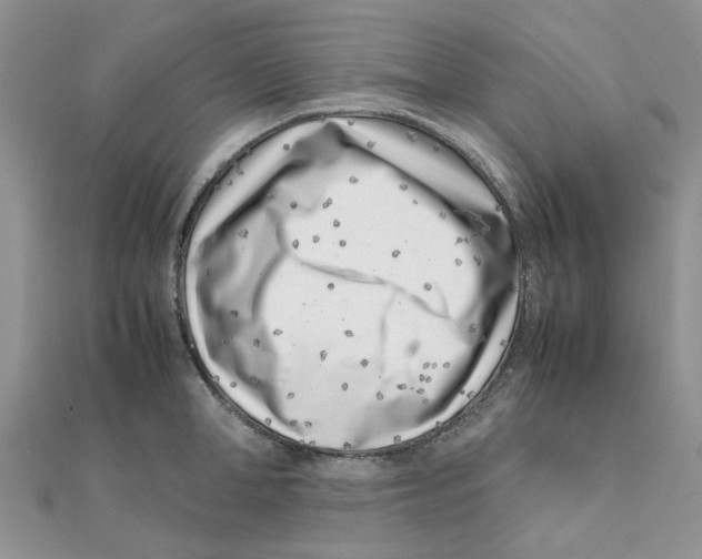 X0000111500998200908111242