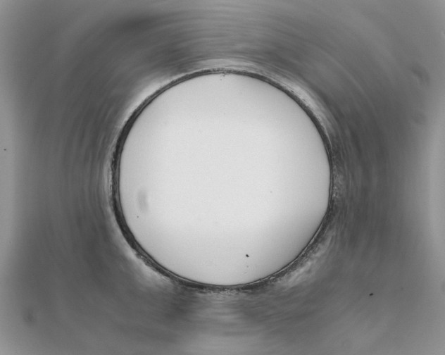 X0000111500999200908111242