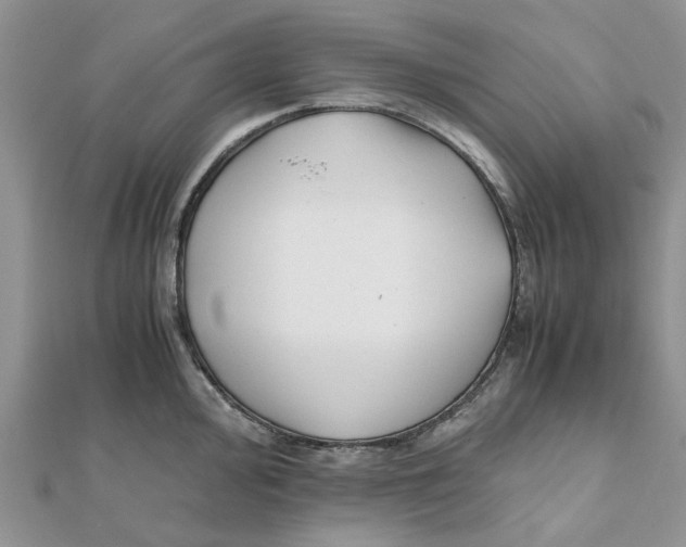 X0000111501000200908111242