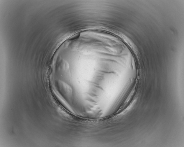 X0000111501001200908111242