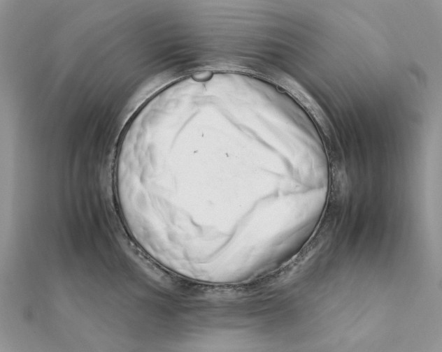 X0000111501002200908111242