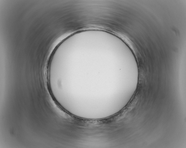 X0000111501003200908111242