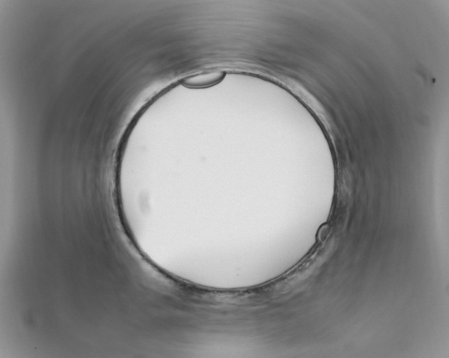 X0000111501005200908111242