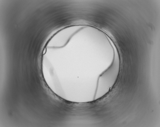 X0000111501008200908111242