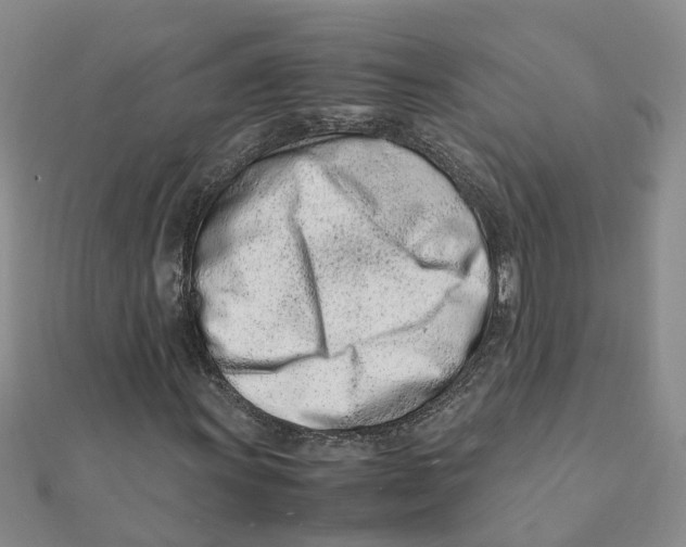 X0000111501011200908111241