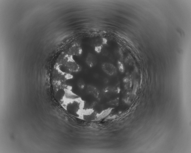 X0000111501013200908111241