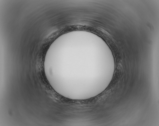 X0000111501014200908111242