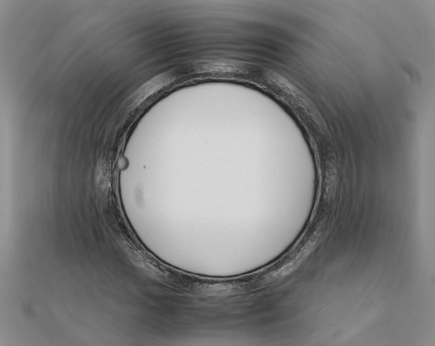 X0000111501017200908111242