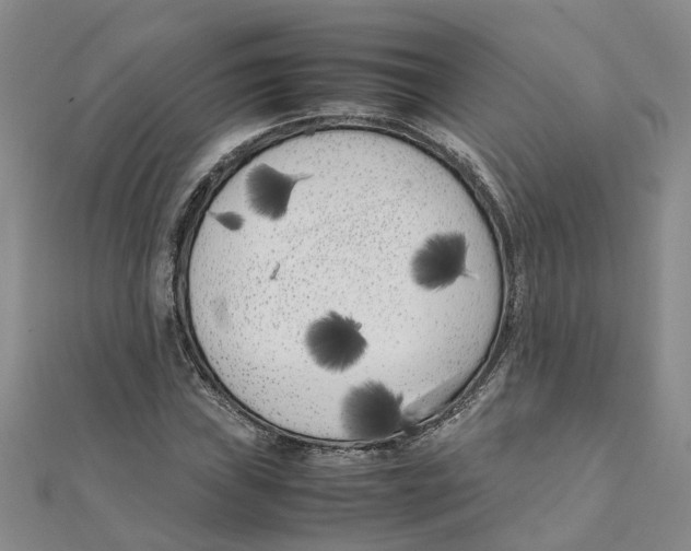 X0000111501019200908111242