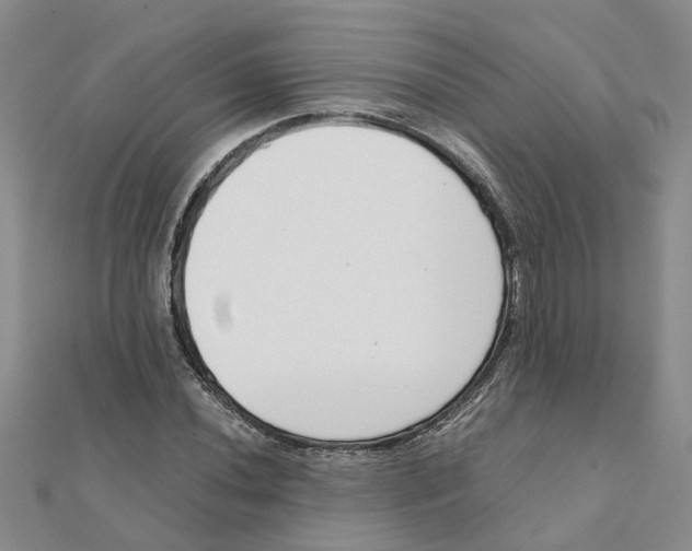 X0000111501020200908111242