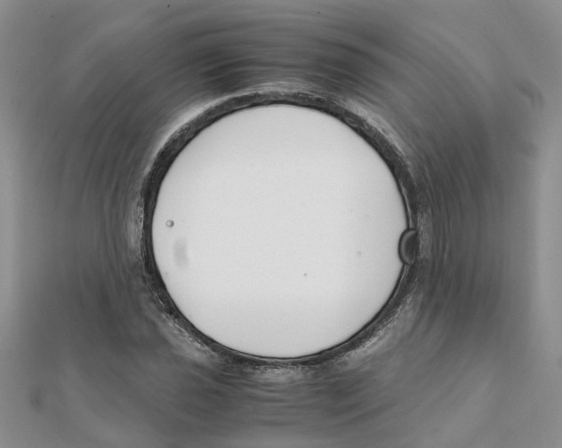 X0000111501021200908111242