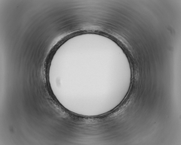 X0000111501022200908111242