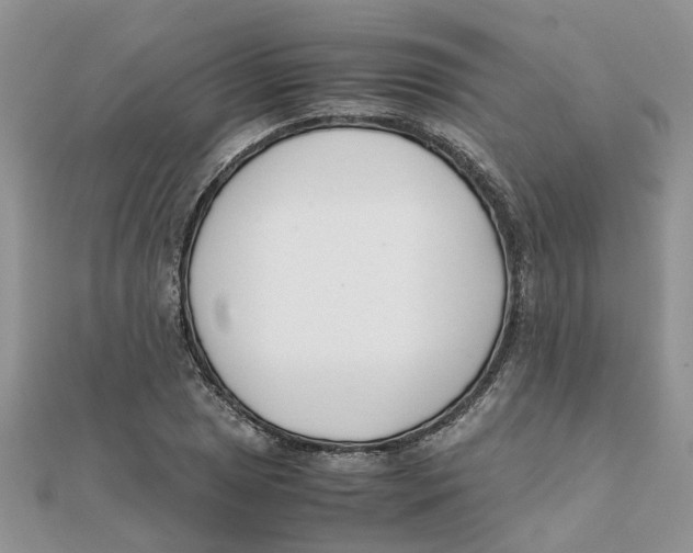 X0000111501025200908111242