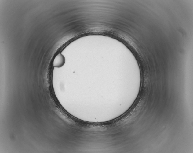 X0000111501026200908111242