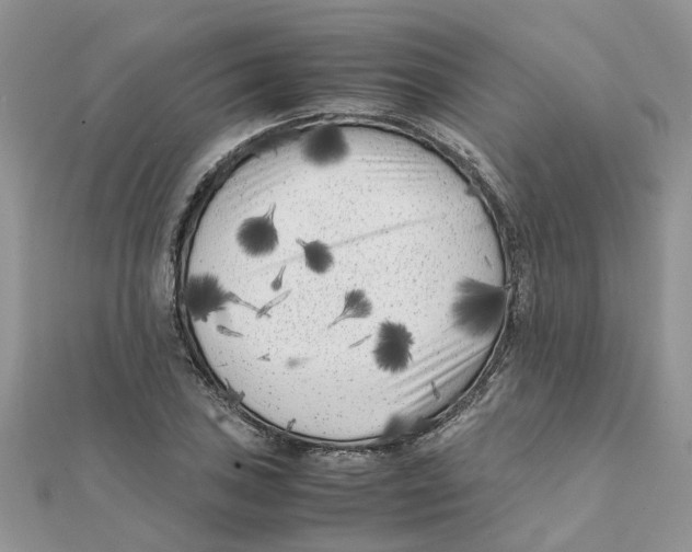 X0000111501027200908111242