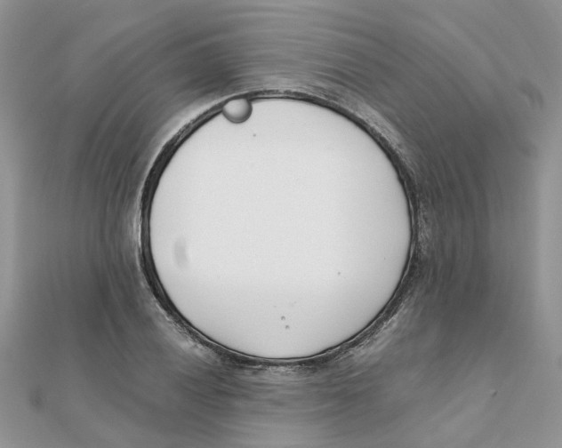 X0000111501028200908111242