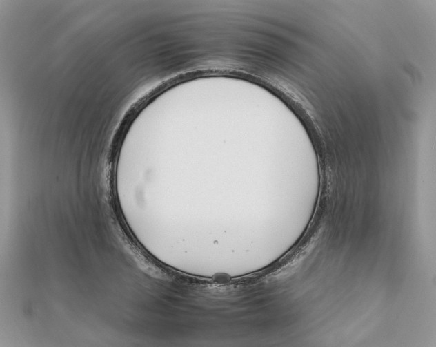 X0000111501029200908111242