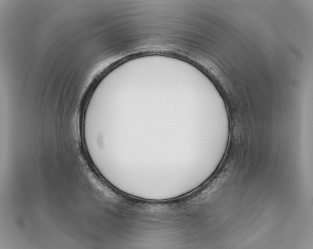 X0000111501030200908111242