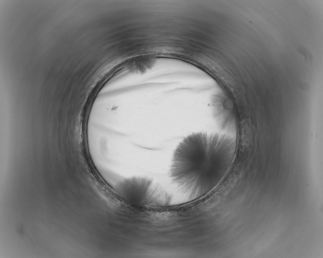 X0000111501031200908111242