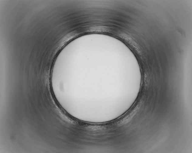 X0000111501033200908111242