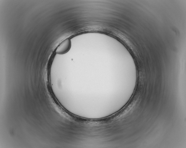 X0000111501034200908111242