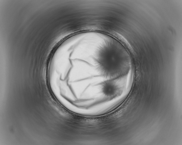 X0000111501035200908111242