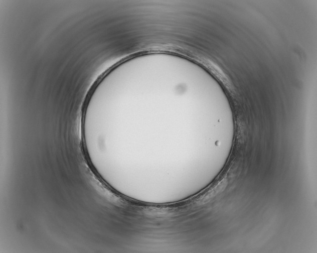 X0000111501036200908111242