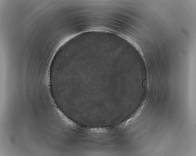 X0000111501037200908111242