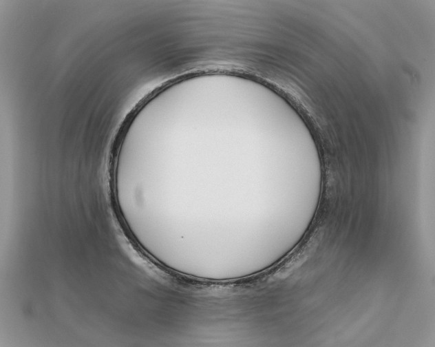 X0000111501038200908111242