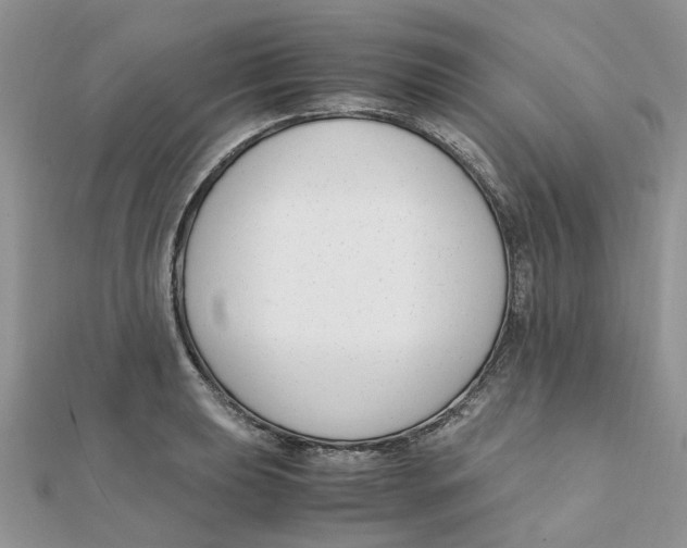 X0000111501039200908111242