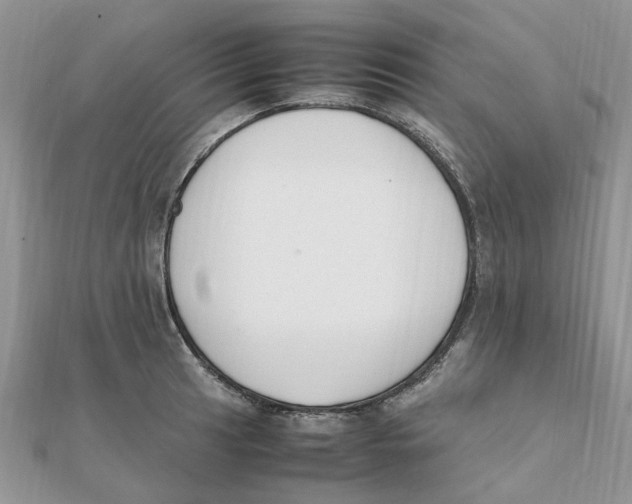 X0000111501041200908111242