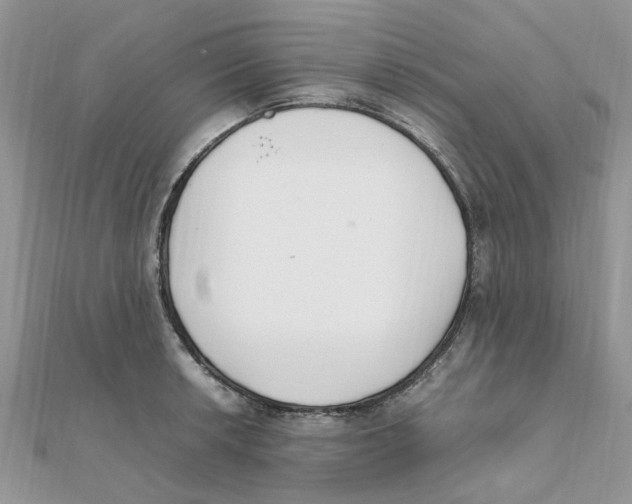 X0000111501042200908111242