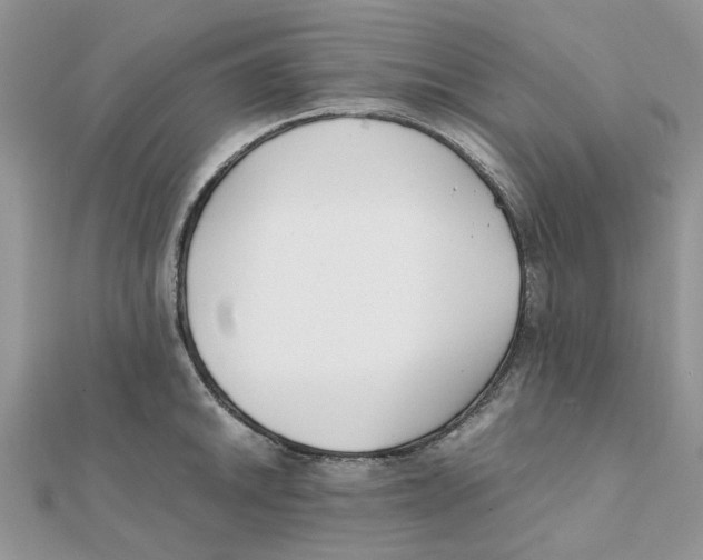 X0000111501046200908111242