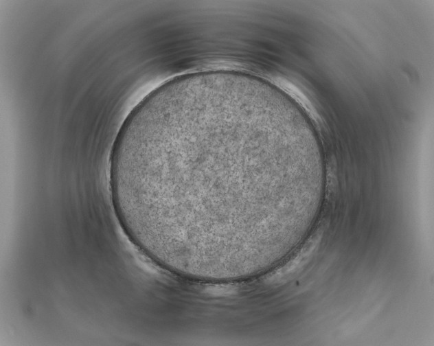 X0000111501047200908111242