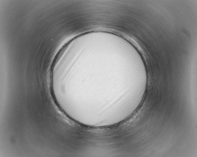 X0000111501048200908111242