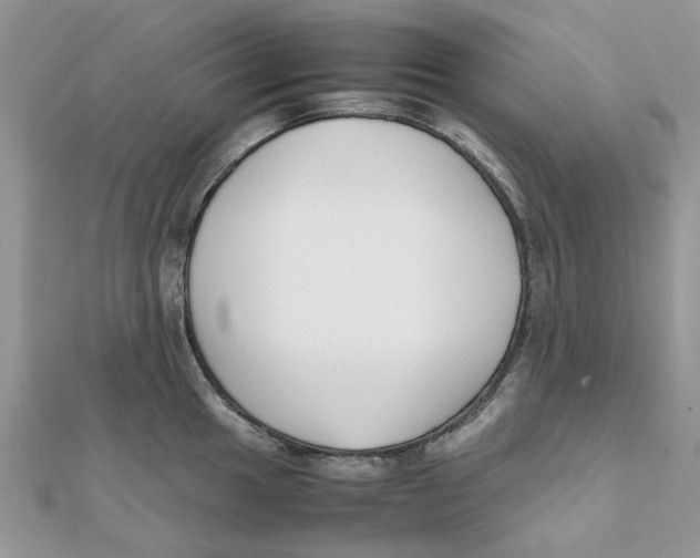 X0000111501049200908111242