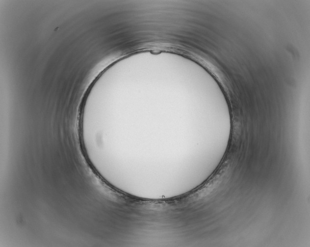 X0000111501050200908111242