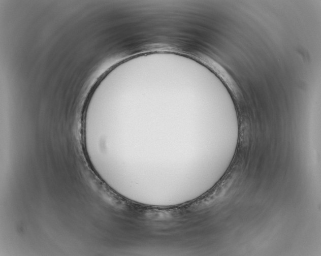 X0000111501051200908111242