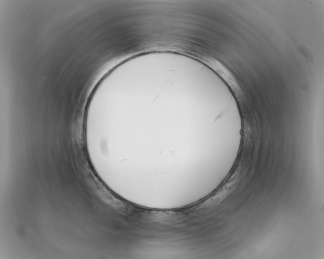 X0000111501052200908111242