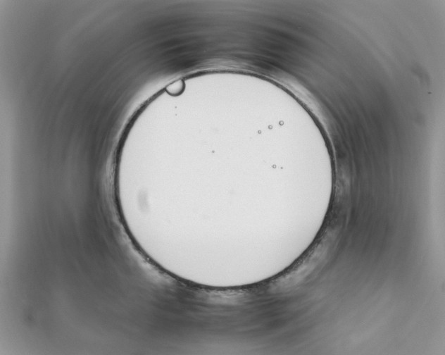 X0000111501053200908111242