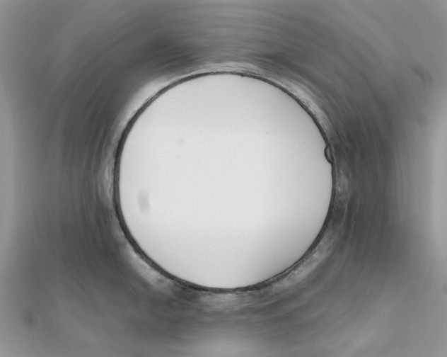 X0000111501054200908111242