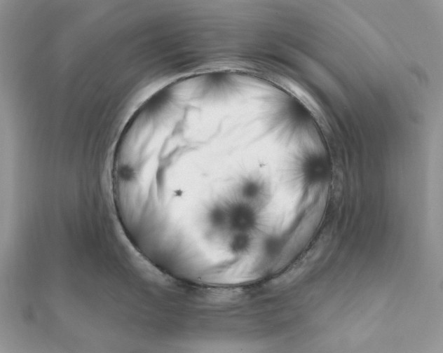 X0000111501055200908111242