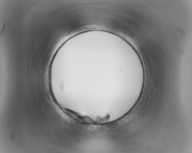 X0000111501056200908111242