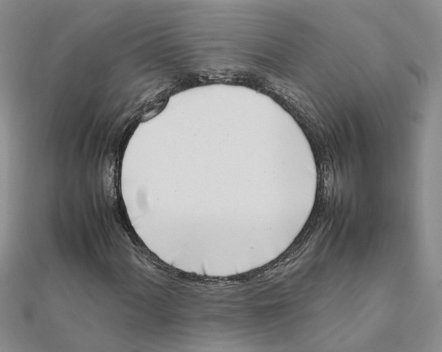 X0000111501060200908111241