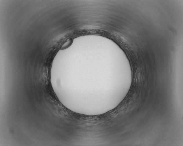 X0000111501062200908111241