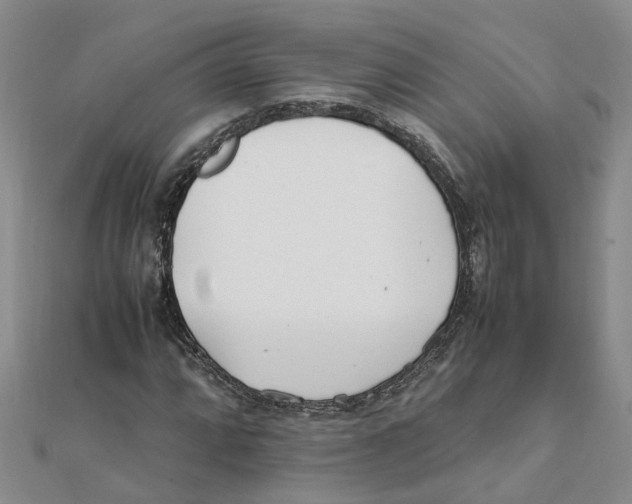 X0000111501064200908111241