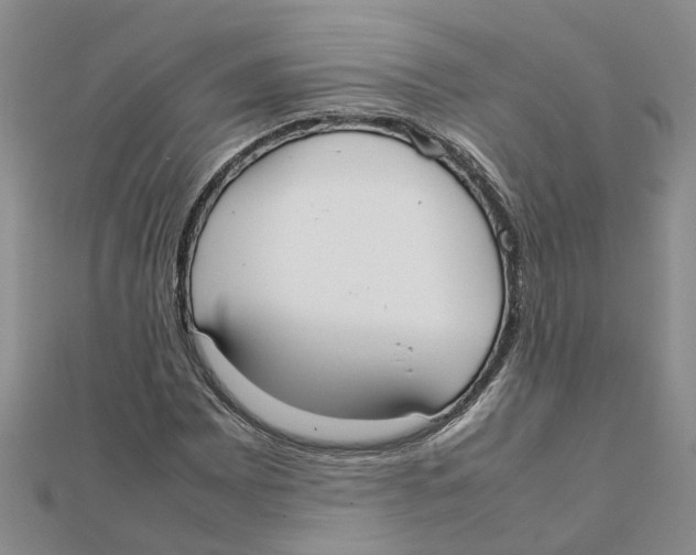 X0000111501065200908111241