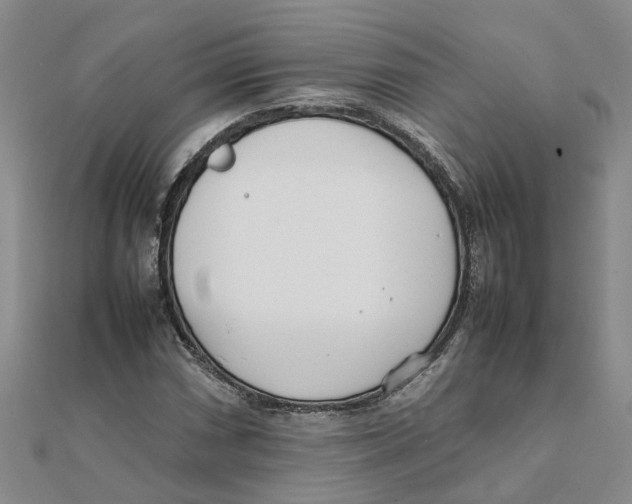 X0000111501066200908111241